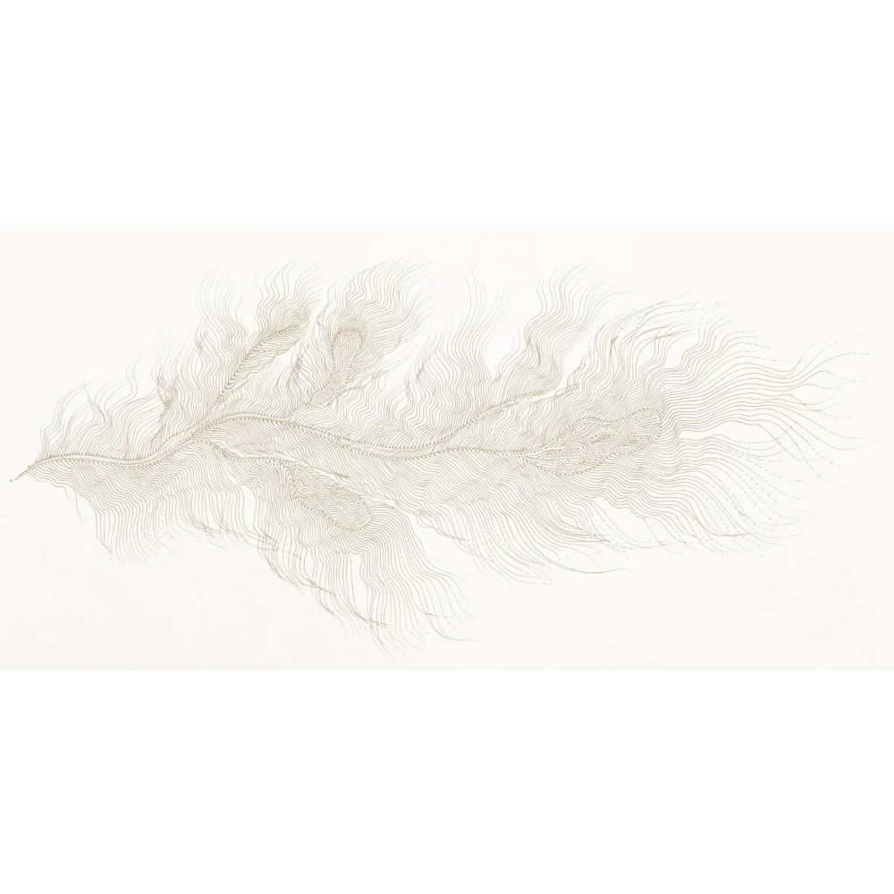 T-Shirt Turbat Misool Wmn