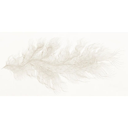 T-Shirt Turbat Misool Wmn